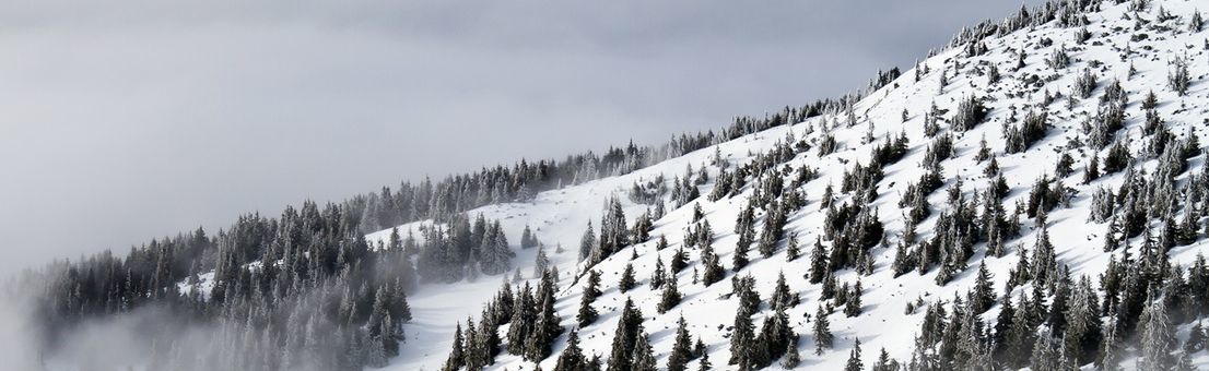 Cold Wife Wants Divorce