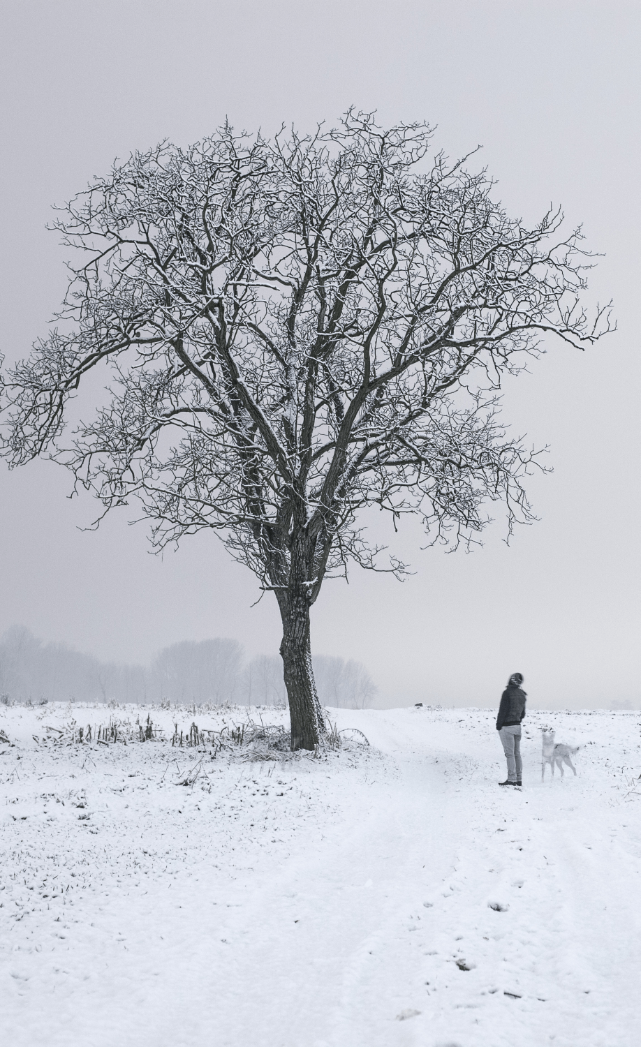 Does your wife feel discontent