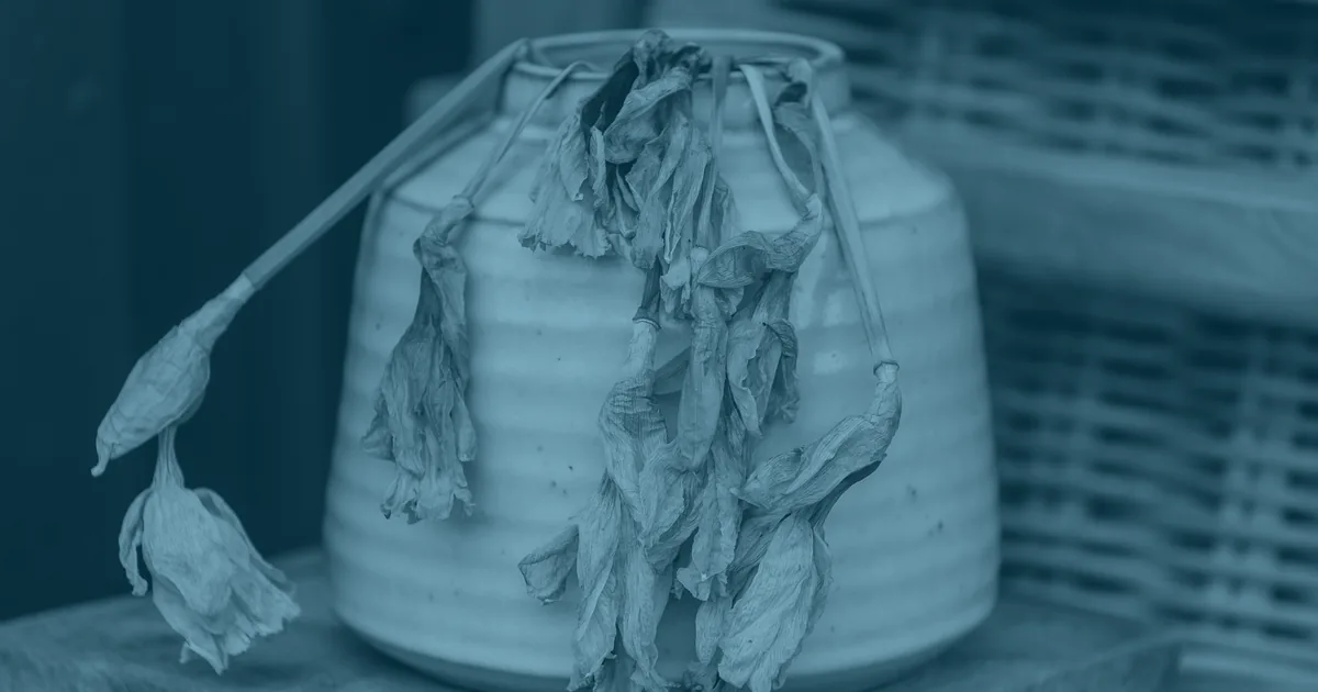 Withered daffodils drooping over the sides of a stoneware jar on weathered wood, their petals dried and papery.