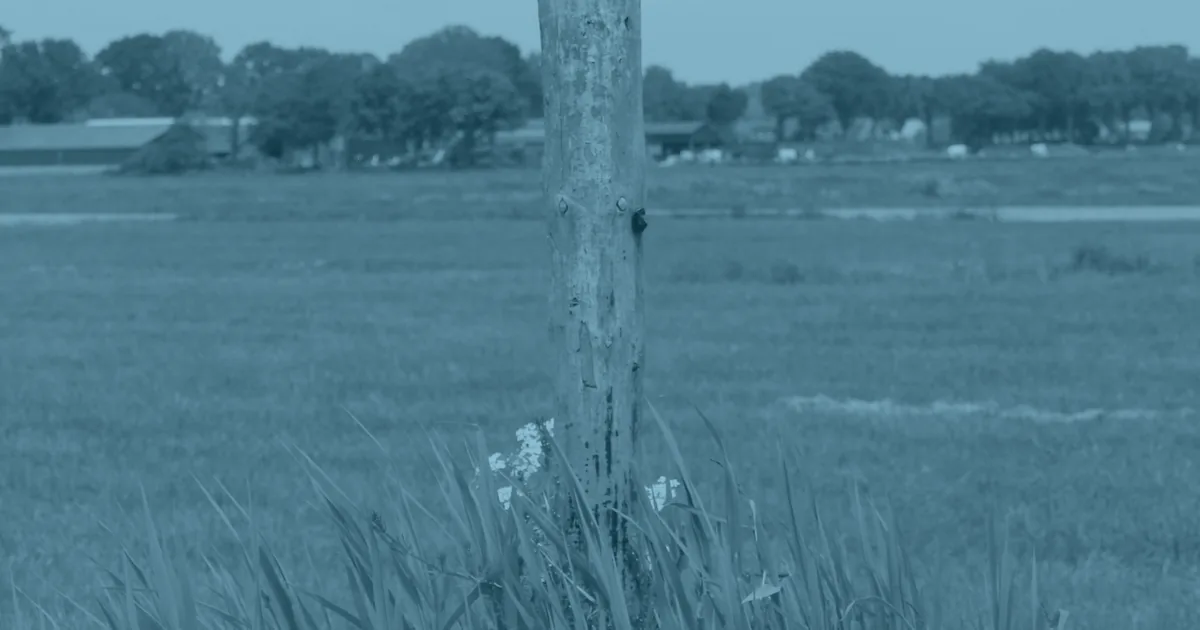 A single weathered wooden post standing in long grass at the edge of an open meadow, with farm buildings and a line of trees on the far horizon.