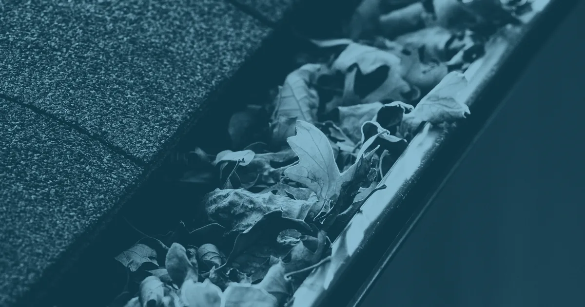 A roof gutter packed to the brim with fallen leaves, running along the edge of a shingled roof.